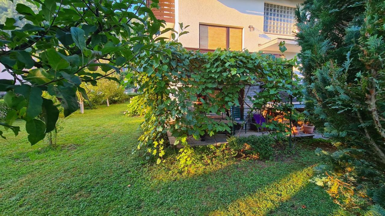 Apartment Ajdna Zirovnica Exterior photo